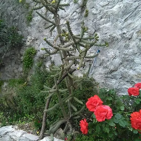 Little Rock Apartment Mostar